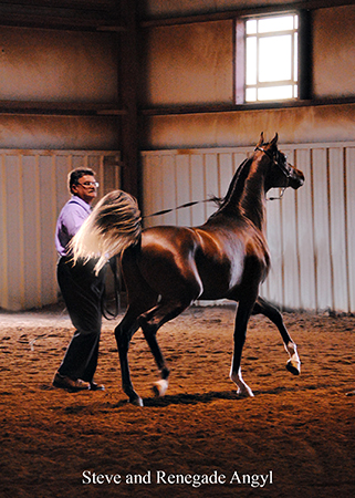 steveRAshowwithtitleweb